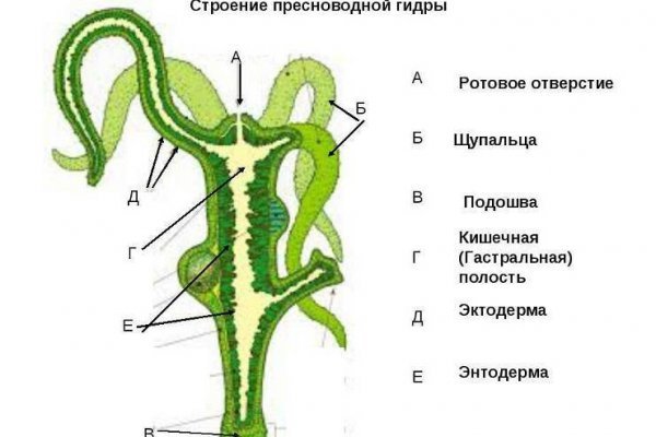Даркнет каталог