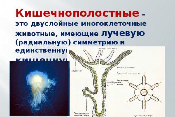 Как зайти на кракен в тор браузере