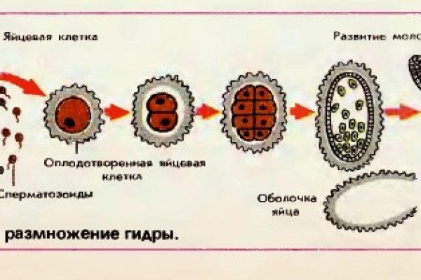 Скрытый интернет как войти