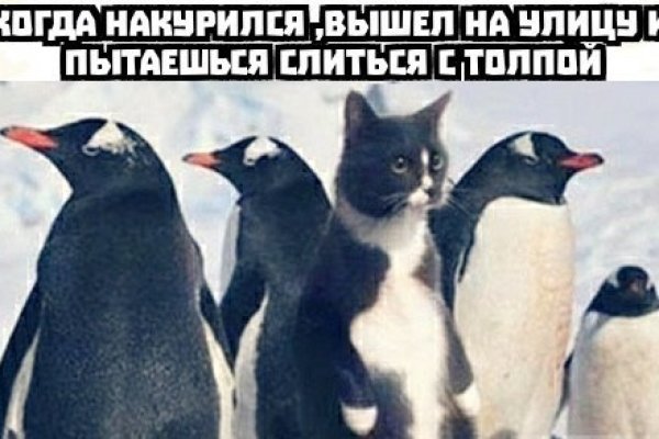 Что продает кракен