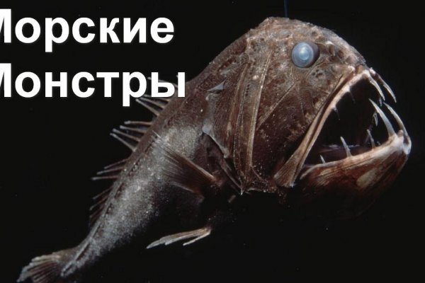 Кракен гидра даркнет