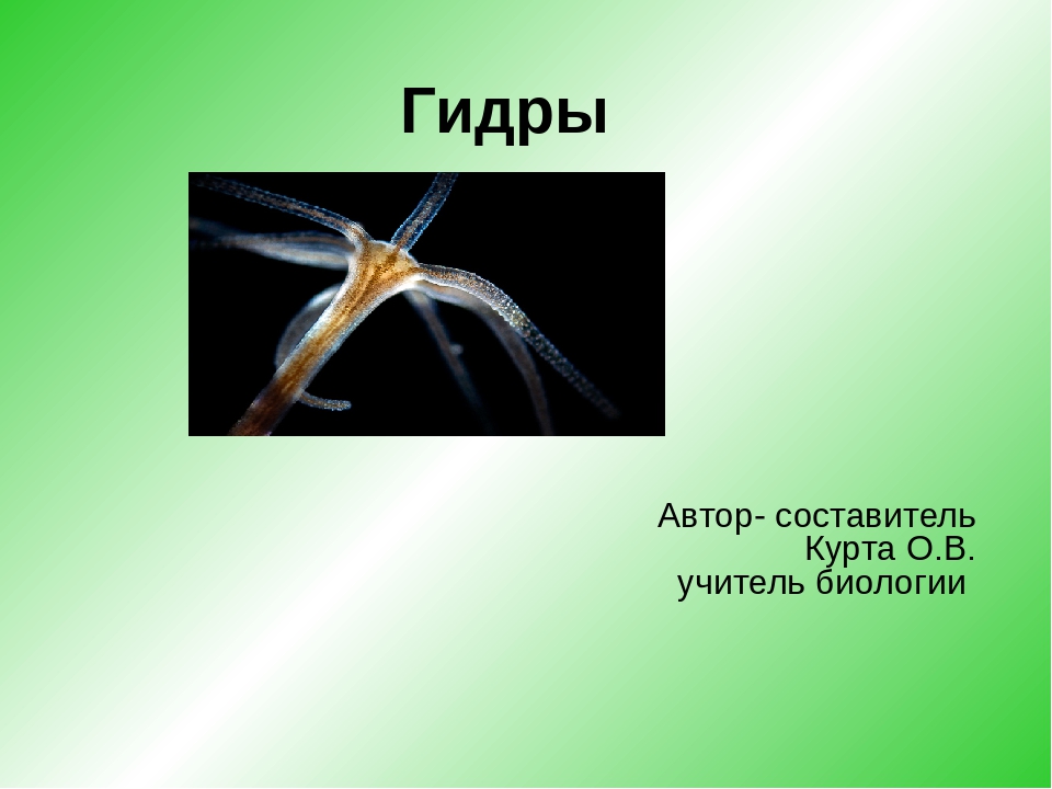 Кракен сайт маркетплейс
